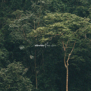 污污网站一区二区
